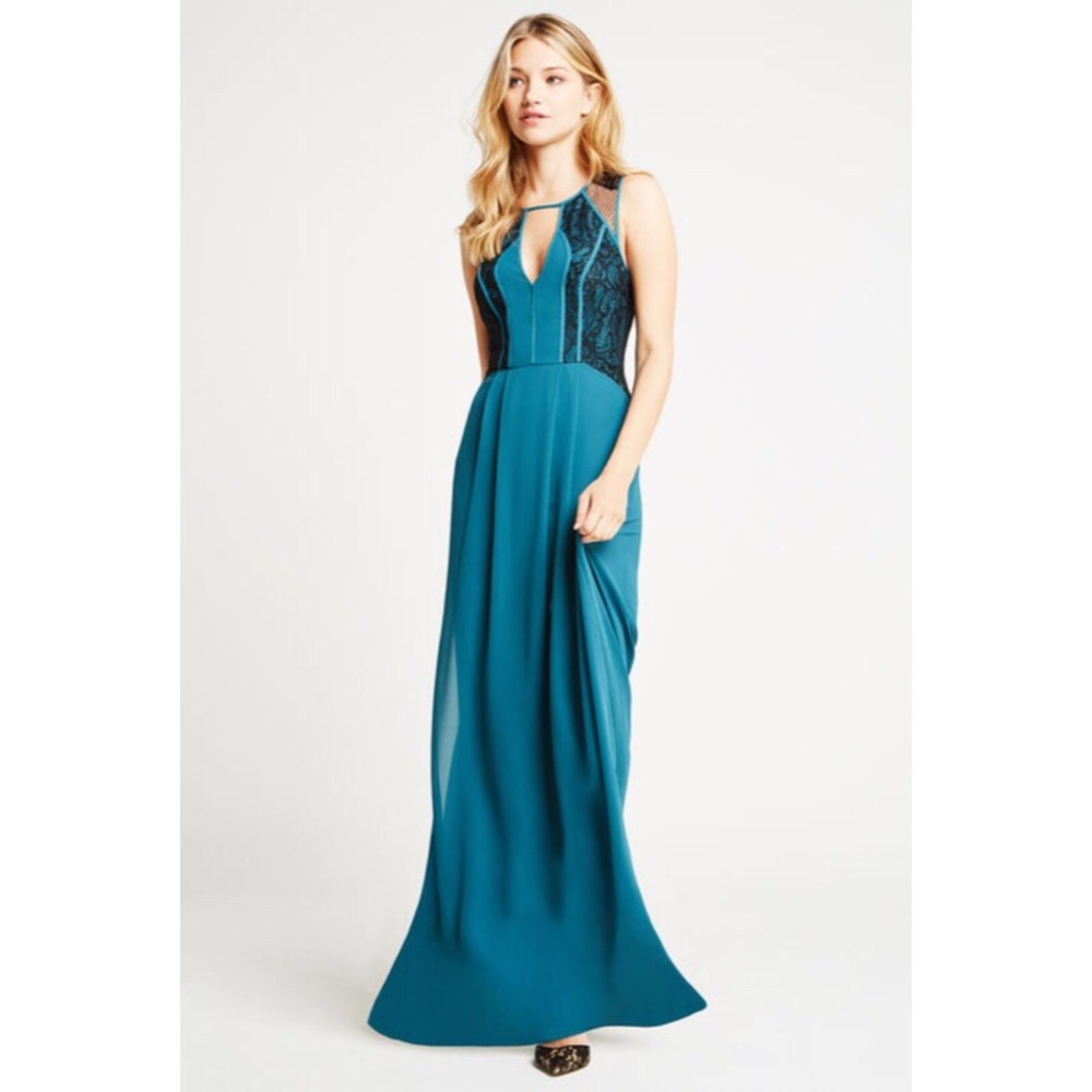 BRAND NEW. NEVER WORN. BCBG MAXI